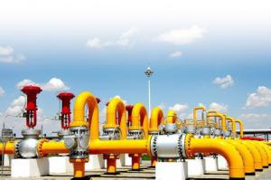 薛光林：對(duì)外依存度逐年提高 建天然氣戰(zhàn)略?xún)?chǔ)備勢(shì)在必行