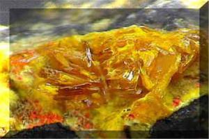 2017年沃斯托克將鈾礦開(kāi)采量減少17％ 鈾礦開(kāi)采量減少20％