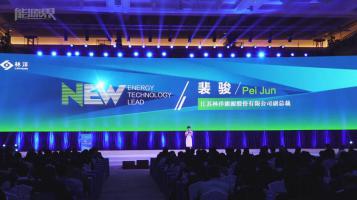 裴駿：林洋能源N型單晶雙面高效系列產(chǎn)品及N+Solution系統(tǒng)解決方案全方位介紹視頻