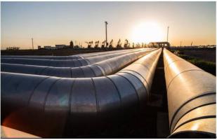 國(guó)家能源局綜合司關(guān)于開(kāi)展油氣管網(wǎng)設(shè)施公平開(kāi)放信息公開(kāi)和信息報(bào)送專(zhuān)項(xiàng)督查工作的通知