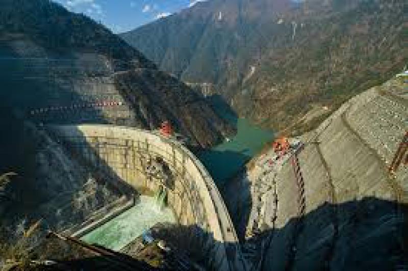 促進水電建設(shè)與環(huán)境保護：大渡河流域珍稀魚類增殖放流活動在大崗山水電站庫區(qū)舉行