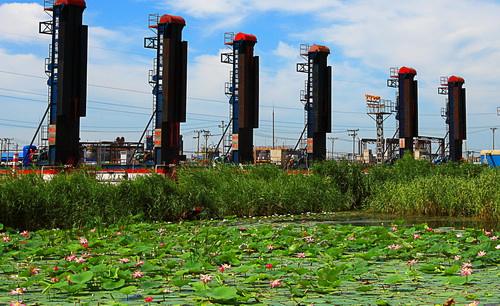 DEDP計劃在2018年安裝太陽能干燥系統(tǒng)
