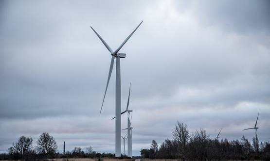 強風使愛沙尼亞風電場滿負荷運轉，電力市場價格也受影響
