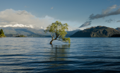 23個國家簽署承諾，加強(qiáng)氣候變化行動