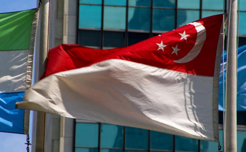 新加坡：勝科太陽能榮獲50兆瓦屋頂光伏招標(biāo)