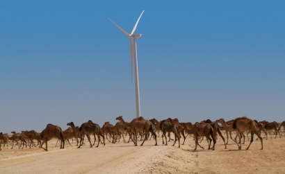 Elecnor被授予毛里塔尼亞第二個(gè)風(fēng)電場的建設(shè)權(quán)