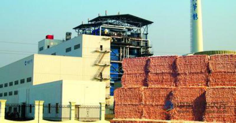 郭云高：失去“電價(jià)補(bǔ)貼” 生物質(zhì)和燃煤耦合生物質(zhì)發(fā)電該如何發(fā)展？