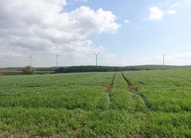 12兆瓦風(fēng)電場(chǎng)采用Enercon E-115渦輪機(jī)正式開(kāi)通