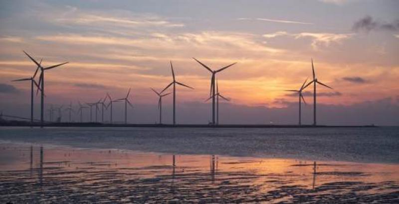 世界上最大的海上風(fēng)電場的競標(biāo)日期截止到10月23號