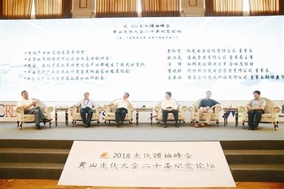 “531新政”開(kāi)啟微利時(shí)代 海外市場(chǎng)或成光伏突圍新方向