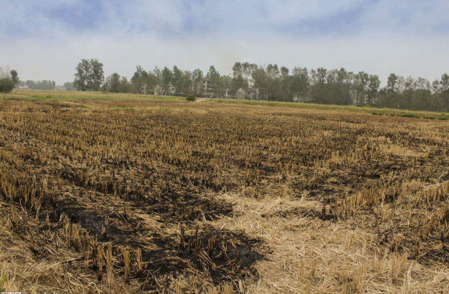 未來(lái)三年哈爾濱將大力推進(jìn)秸稈綜合利用