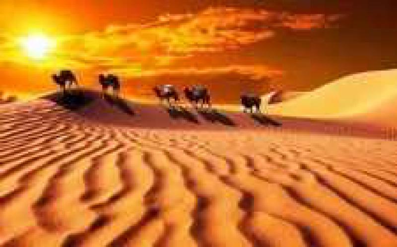 第73屆聯(lián)合國大會(huì)主席稱將繼續(xù)支持“一帶一路”倡議