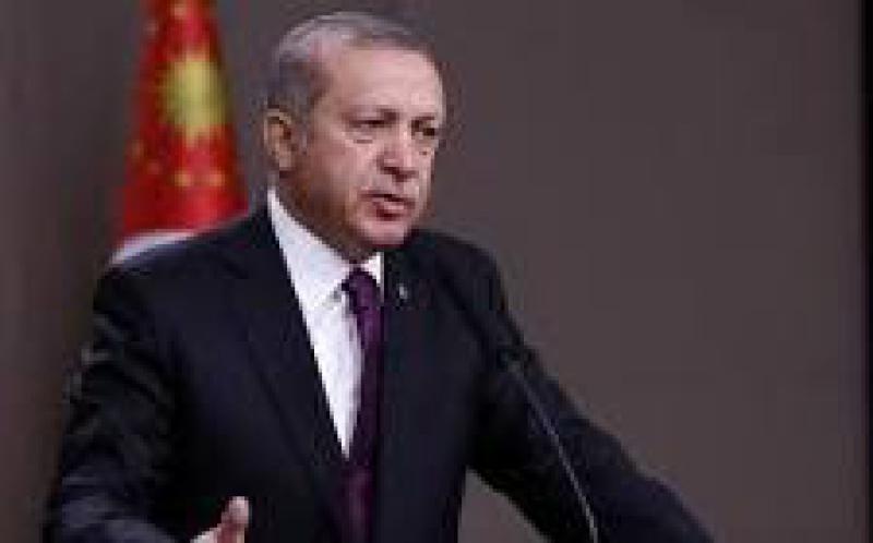 土耳其總統(tǒng)埃爾多安推出為期100天的能源計(jì)劃