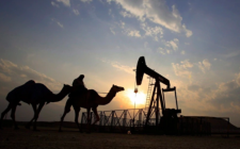 能源經(jīng)濟學家表示，沙特阿拉伯原油進口到加拿大很容易取代