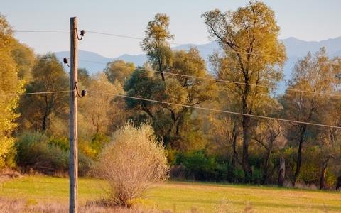 為振興黑山配電網(wǎng)絡，CEDIS將在分銷網(wǎng)絡上投資8160萬歐元