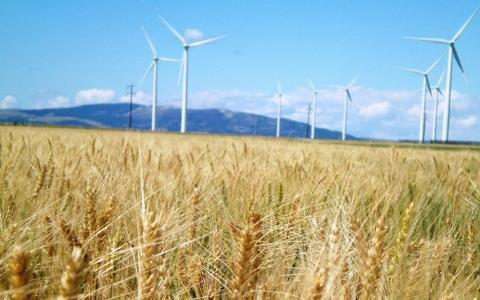立陶宛政府將考慮新的可再生能源發(fā)展模式