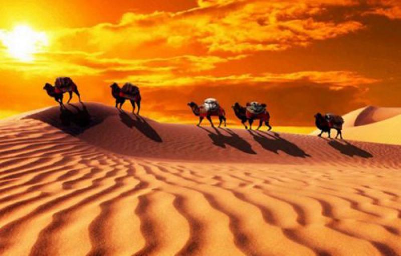 烏克蘭經(jīng)貿(mào)部介紹烏實施“絲綢之路”項目落實情況