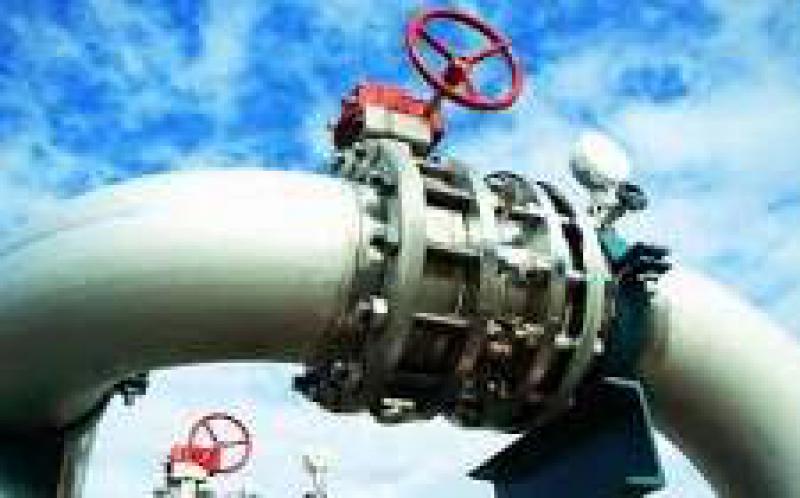 埃及石油部長埃爾瓦坦說，埃及將從1月開始出口天然氣