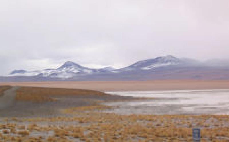 RFP：技術(shù)協(xié)調(diào)地?zé)衢_發(fā)，Laguna Colorada，玻利維亞