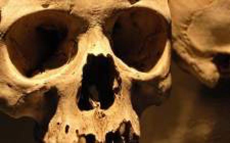 兩家儲能公司即將倒閉：Axion Power和Camborne Energy Storage