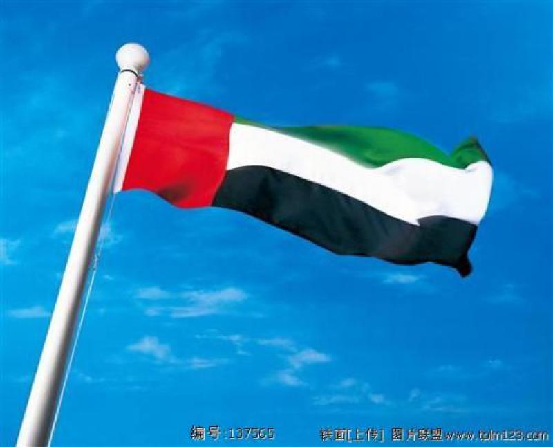 阿聯(lián)酋將在能源、水電及交通部門將投資1.3萬億迪拉姆