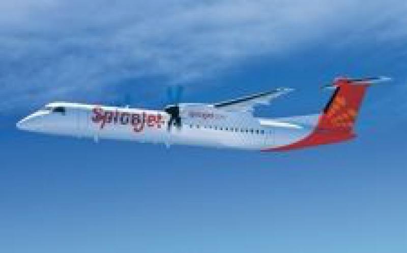 麻風(fēng)樹：印度的第一次生物燃料飛行