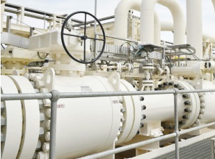 能源部長(zhǎng)：南部天然氣走廊將能夠提供巴爾干國(guó)家天然氣約50％的需求