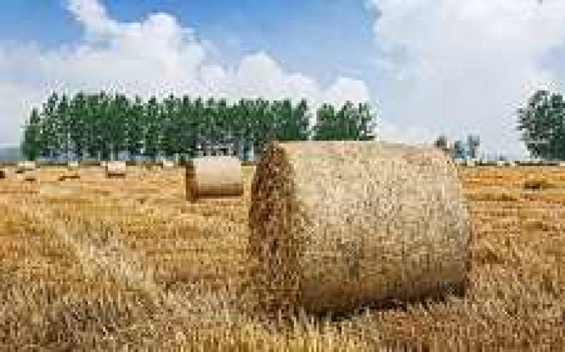 富裕綠能生物質發(fā)電變廢為寶 年耗秸稈25萬噸以上可發(fā)電2.1億度