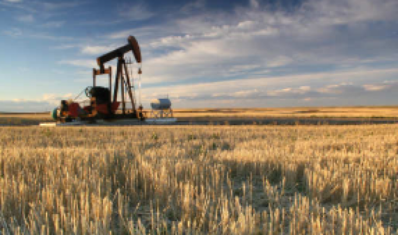 印度原油產(chǎn)量下降4.19％，推動(dòng)9月份進(jìn)口依賴度達(dá)到83.7％