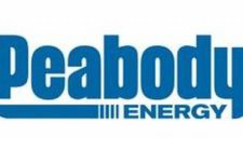 聯(lián)邦委員會(huì)贊成煤炭而非石油開發(fā)