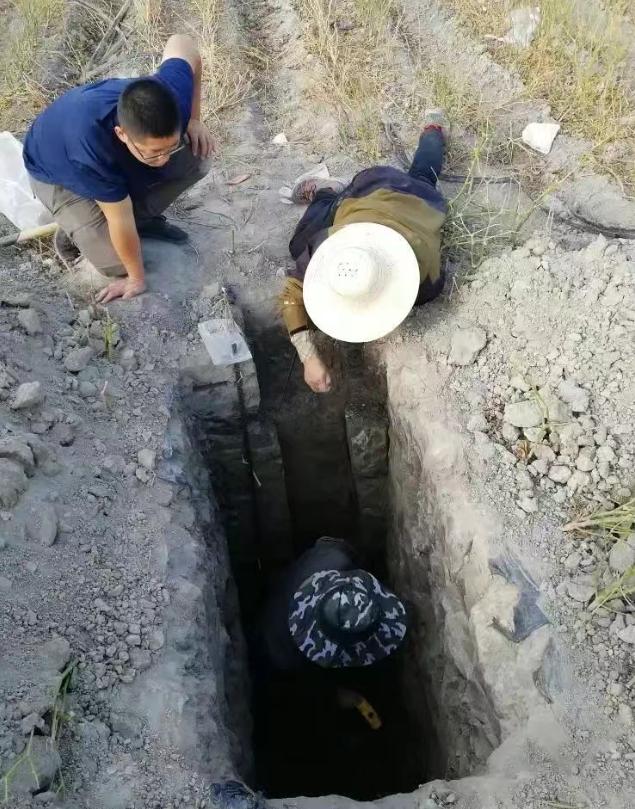 重大突破！新疆發(fā)現(xiàn)近千公里“硒腰帶”