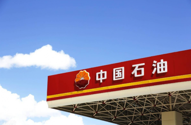 中國(guó)石油集團(tuán)董事長(zhǎng)戴厚良會(huì)見(jiàn)厄瓜多爾能礦部副部長(zhǎng)費(fèi)雷拉