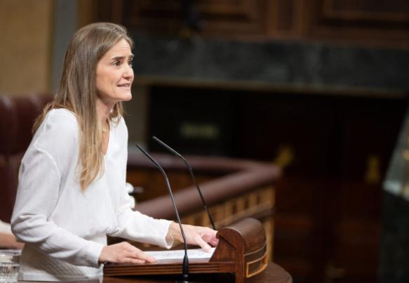 西班牙議會(huì)否決電網(wǎng)改革與儲(chǔ)能發(fā)展法案