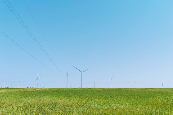 全球最大單體綠氨裝置——大安風(fēng)光制綠氫合成氨一體化風(fēng)電項(xiàng)目全容量并網(wǎng)